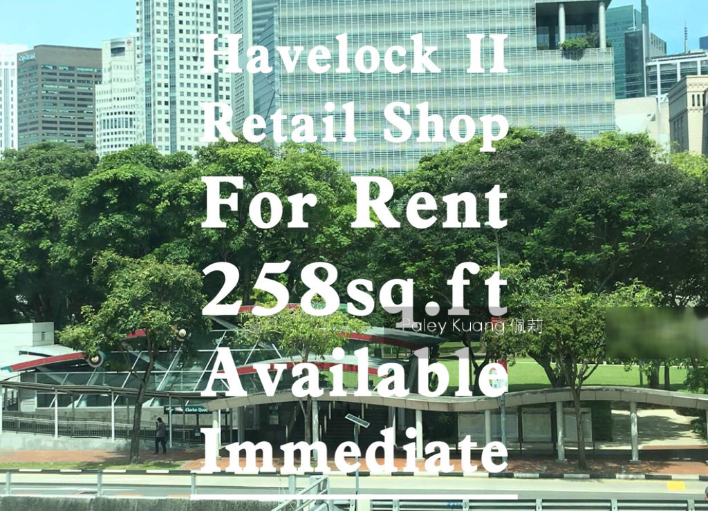 Havelock2 (D1), Retail #135386702